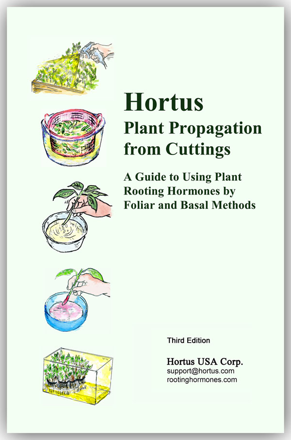 Plant Propagation form Cuttings