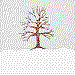 Seasonal Variation